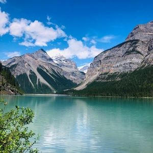 Meet your Posher, Ella